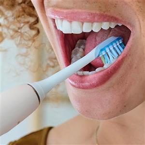 Philips Sonicare HX9042/87 Yedek Başlık