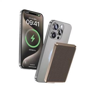 Piili Karbon 5.000 Mah Powerbank - Altın