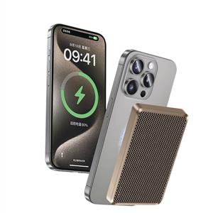 Piili Karbon 10.000 Mah Powerbank - Altın