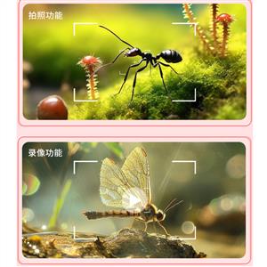 Piili P-KE5 Pembe Çocuk Mini Cep Mikroskop
