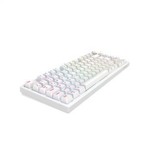 RAMPAGE ENIGMA 75 BEYAZ RGB RED SWITCH MEKANİK GAMING KLAVYE-BEYAZ