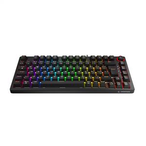 RAMPAGE ENIGMA 75 SİYAH RGB RED SWITCH MEKANİK GAMING KLAVYE-SİYAH