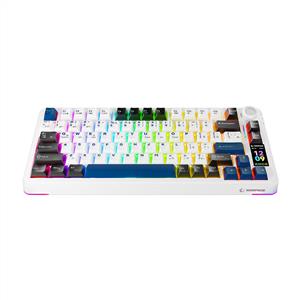 RAMPAGE QUELL PRO EKRANLI BEYAZ GASKET OİL SWITCH MEKANİK GAMING KLAVYE-BEYAZ