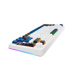 RAMPAGE QUELL PRO EKRANLI BEYAZ GASKET OİL SWITCH MEKANİK GAMING KLAVYE-BEYAZ