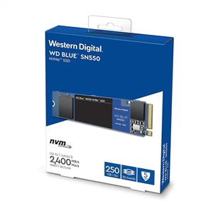 WD 250GB Blue NVMe M.2 SSD (2400MB Okuma / 950MB Yazma)